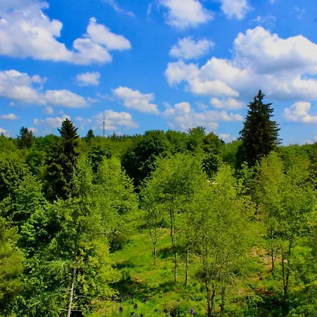 Apartament Ferienwohnung Villingen-schwenningen Mit Panoramablick Villingen-Schwenningen