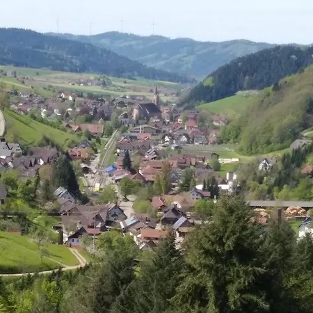 Panoramablick Apartment Oberharmersbach