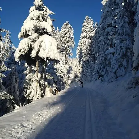 Panoramablick * Oberharmersbach